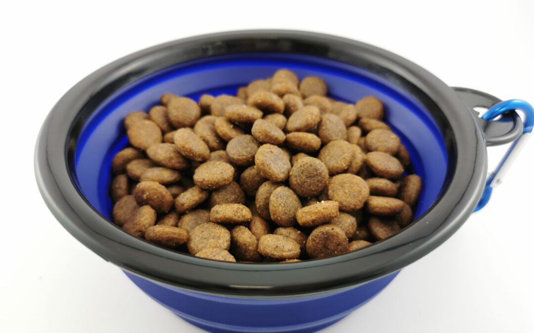 Lenda: SILIKONOWA SKŁADANA MISKA PODRÓŻNA DLA PSA, KOTA 500 ML